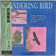 Wandering Bird – Promo MMXXV (10'' Vinyl)