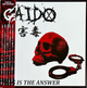 GAIDO - This is the answer (12" Vinyl)