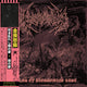 Kommodus - Dreams of Blossoming Rust (12'' Vinyl)